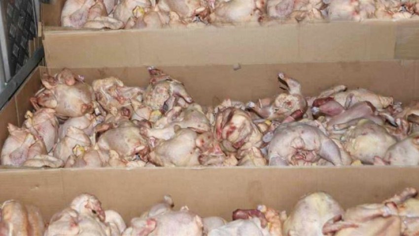 Saisie de 600 kg de viandes de volailles dans un...