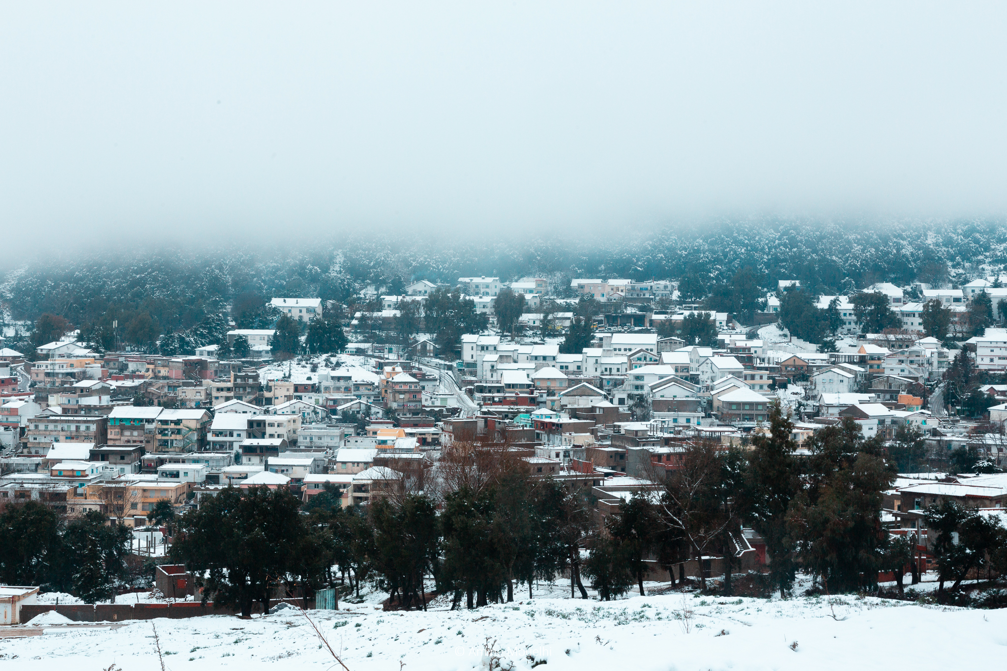 Aïn Draham: La magie de la première  chute de...