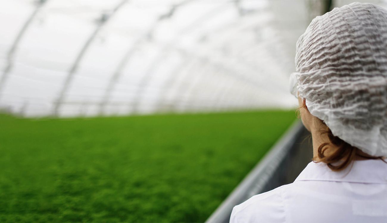 Agriculture et recherche scientifique : Pas d’avenir sans la science…