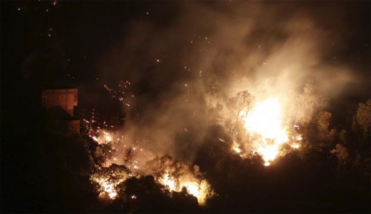 Algérie : des feux ravagent plusieurs wilayas