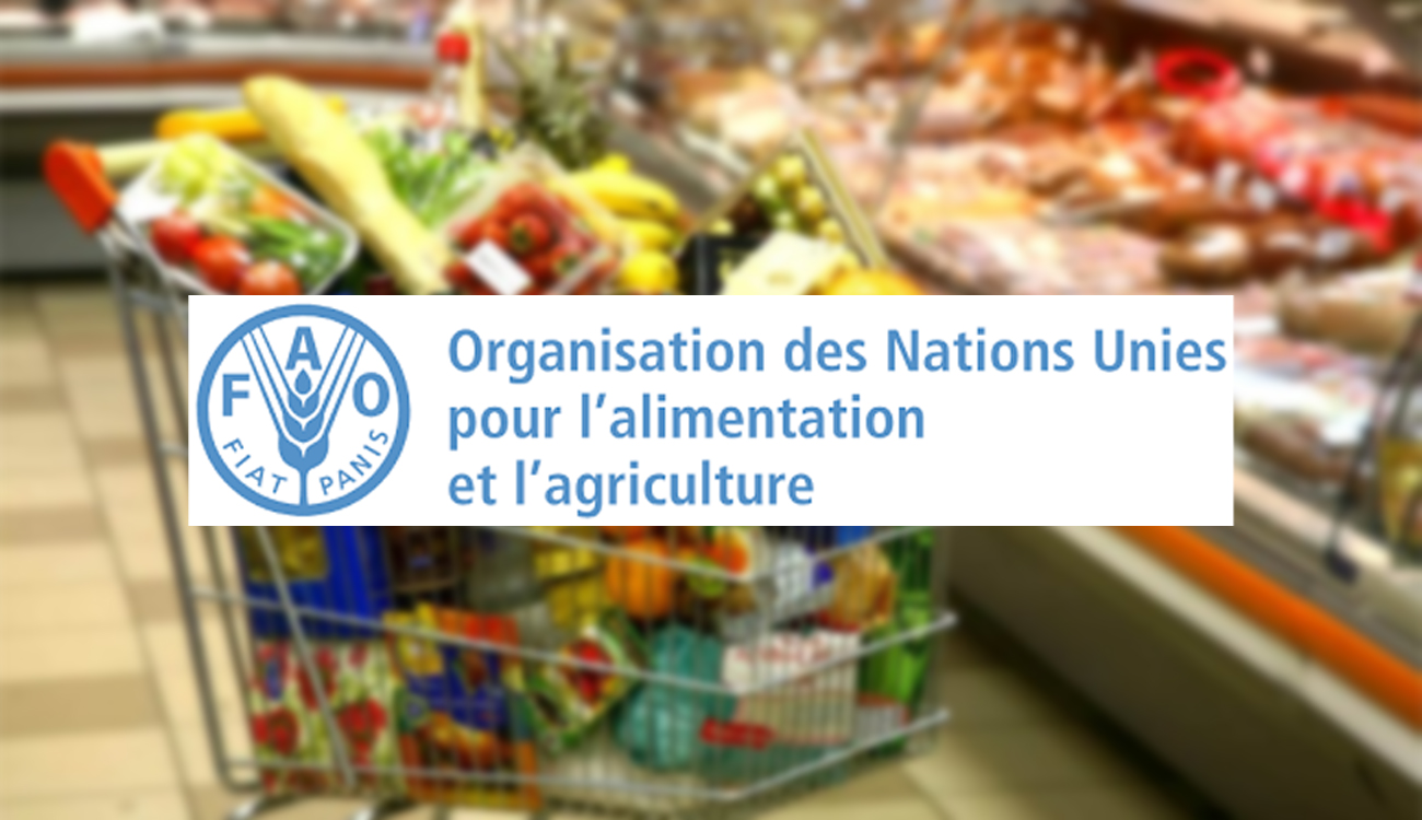 FAO : les prix mondiaux des produits alimentaires reculent en...