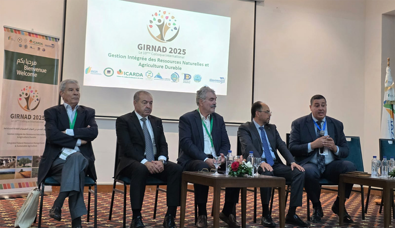 Conseil de l’odre des ingenieurs tunisiens : Rencontre internationale sur...