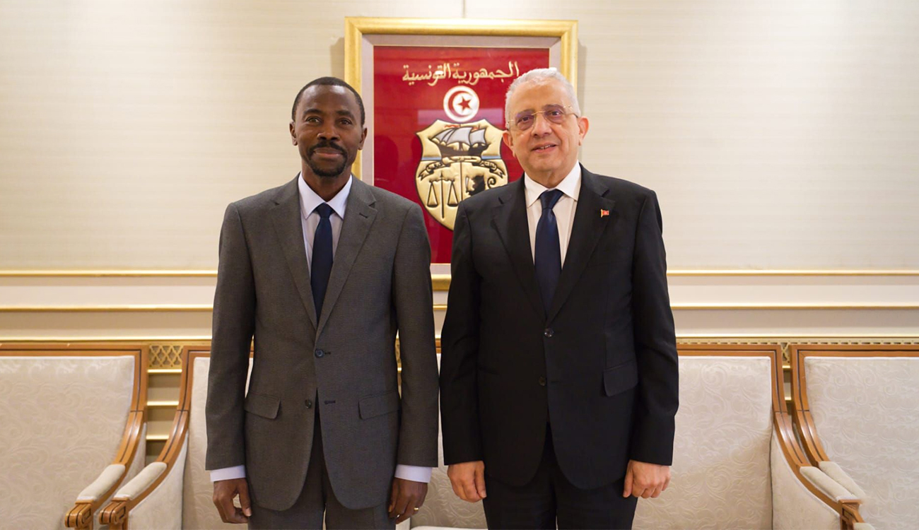 Intégration sanitaire africaine : la Tunisie partage son expertise avec...