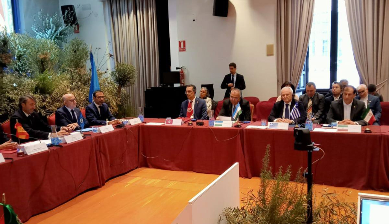 Journée mondiale de l’olivier : l’arbre millénaire défie le dérèglement...