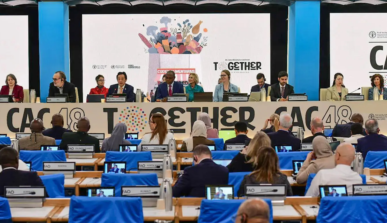 Deglet Nour inscrite dans la nouvelle norme internationale du Codex...