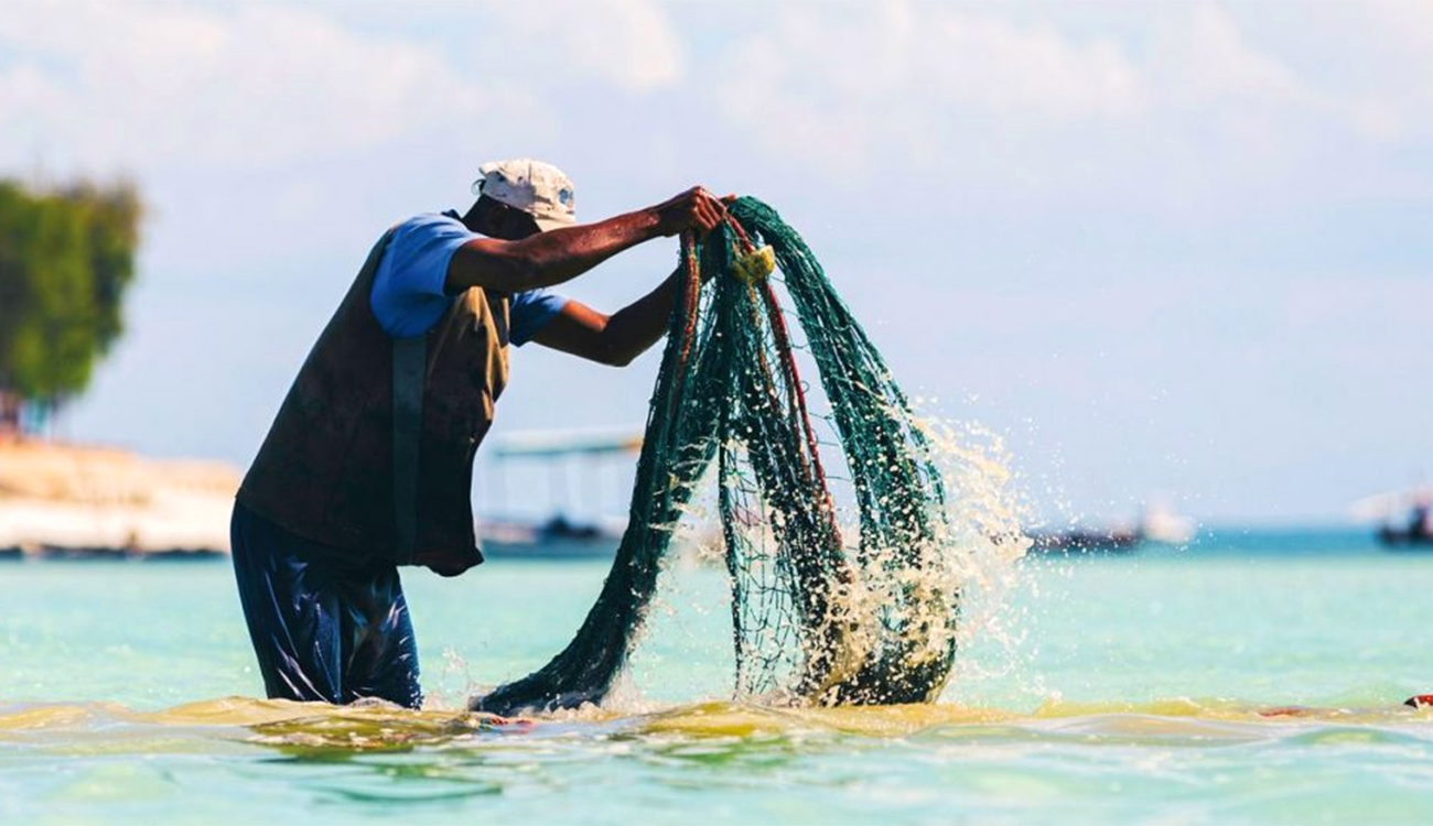 Nabeul: menace sur les ressources halieutiques à cause du non...