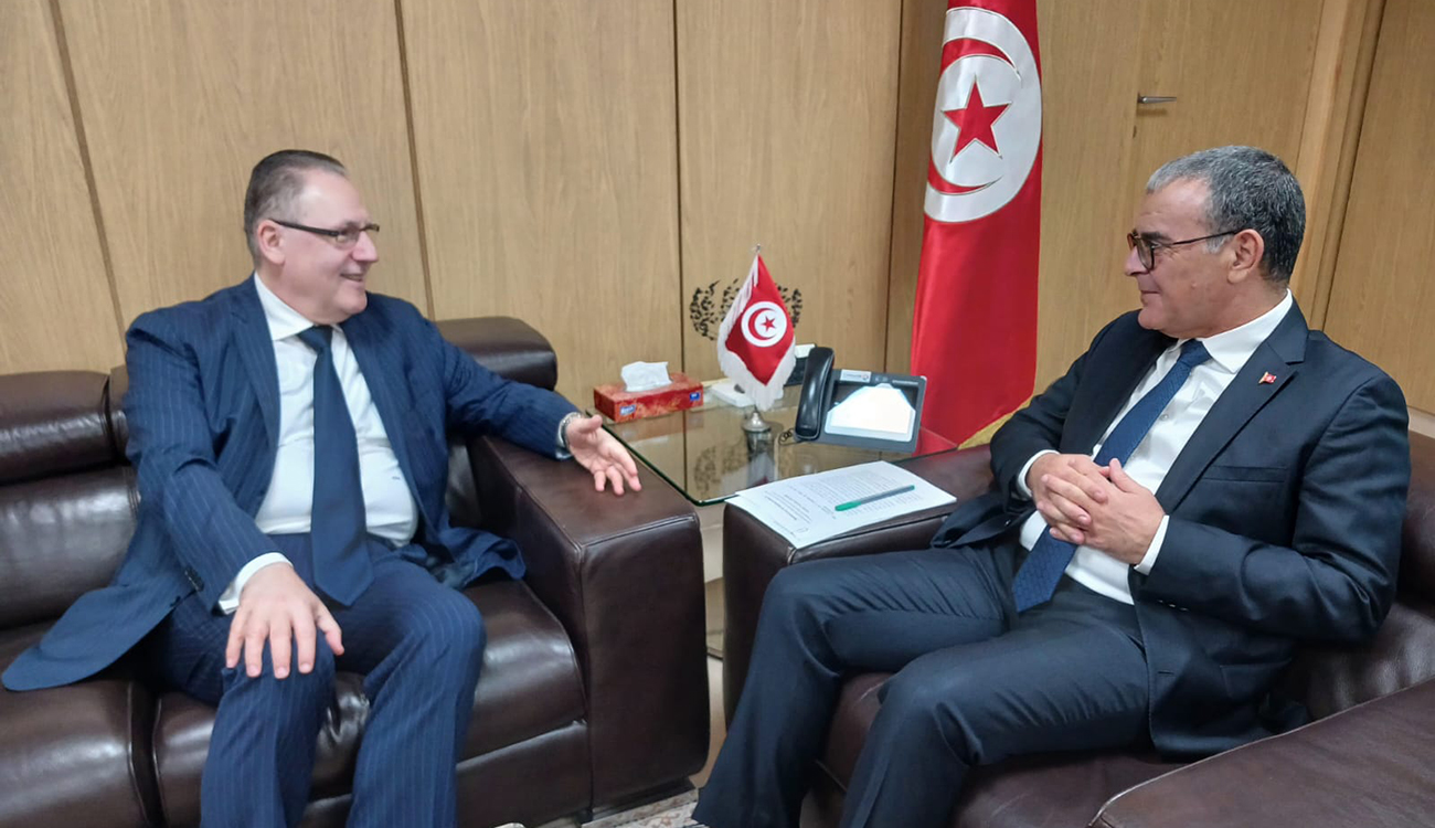 Tunisie – Programme des Nations Unies pour le développement :...