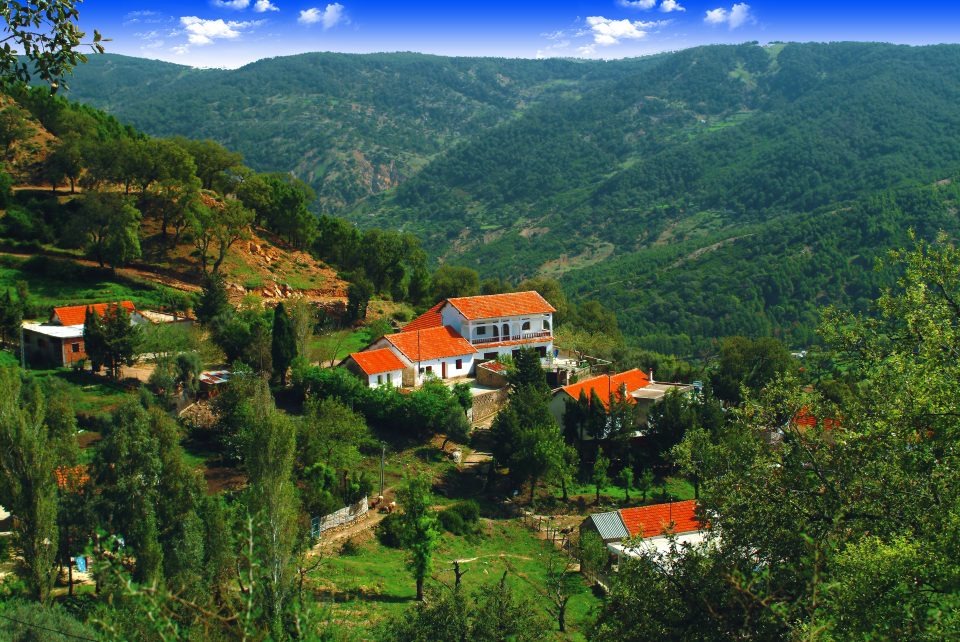 À proximité de l’Algérie, la Tunisie lance un ambitieux projet...