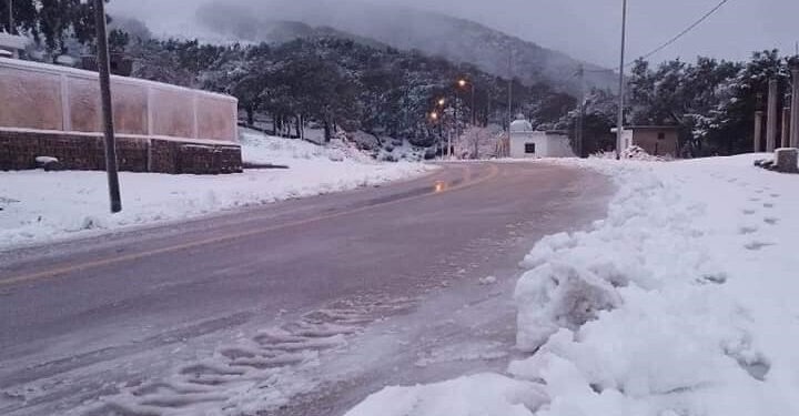 Aïn Draham : interventions d’urgence pour dégager les routes après...