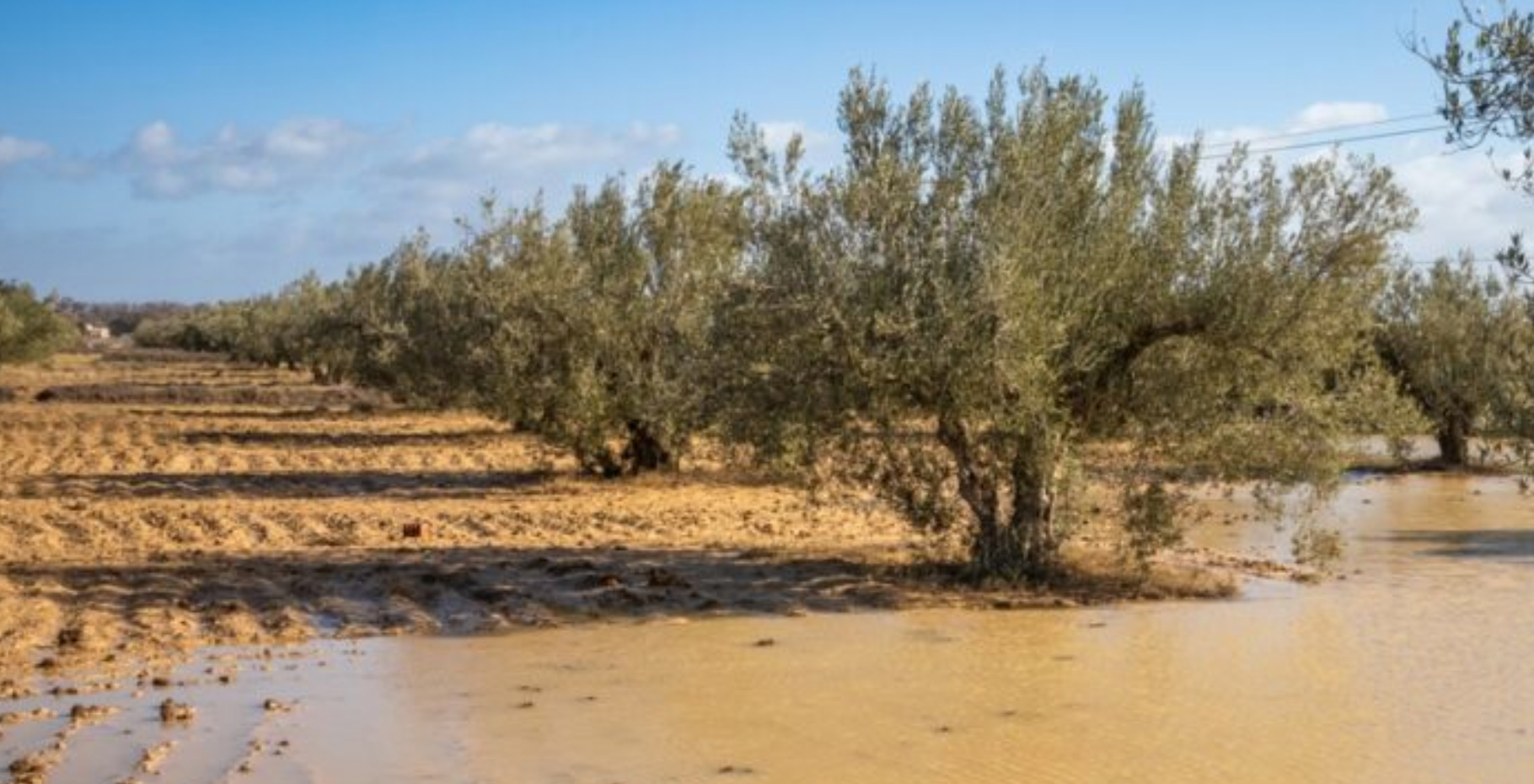 Deux villes tunisiennes en alerte écologique maximale