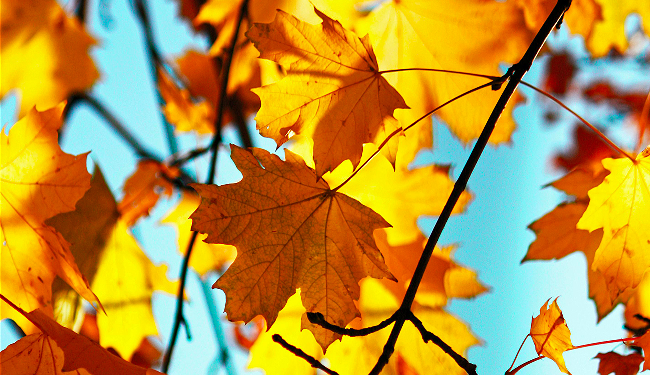 Ciel partiellement nuageux et légère hausse des températures