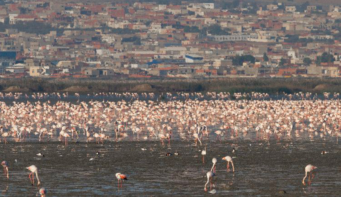 Le mercredi 26 novembre, journée du suivi et de la...