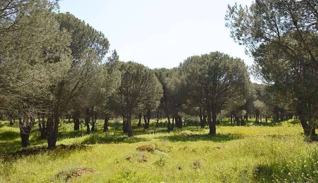 La Tunisie lancera en 2026 le plus grand projet de...