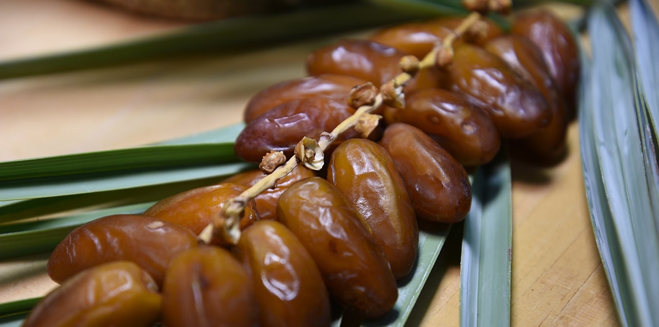 Voici les meilleures dattes tunisiennes qui séduisent le monde