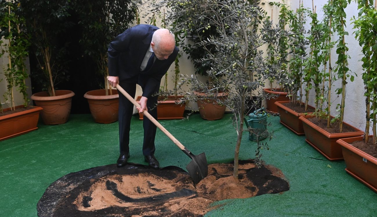 Kaïs Saïed célèbre la Fête de l’Arbre au siège du...