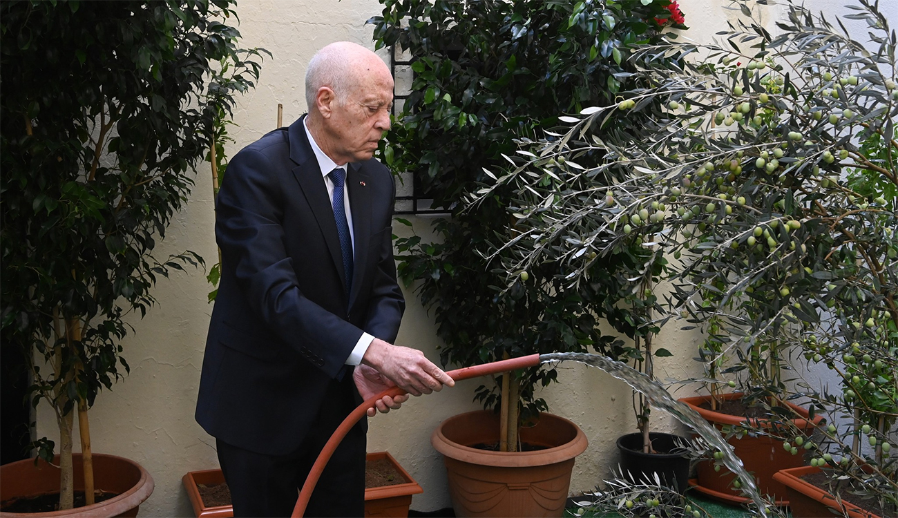 Regards sur la célébration de la Fête nationale de l’arbre...