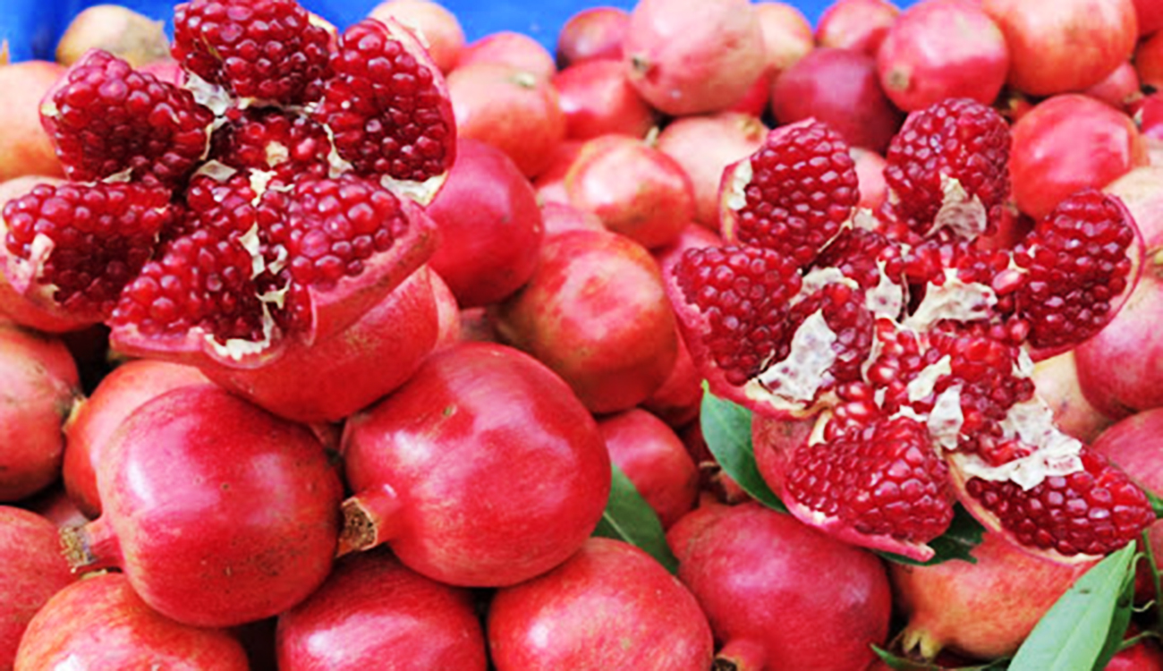 REPORTAGE – Festival Testour célèbre la grenade