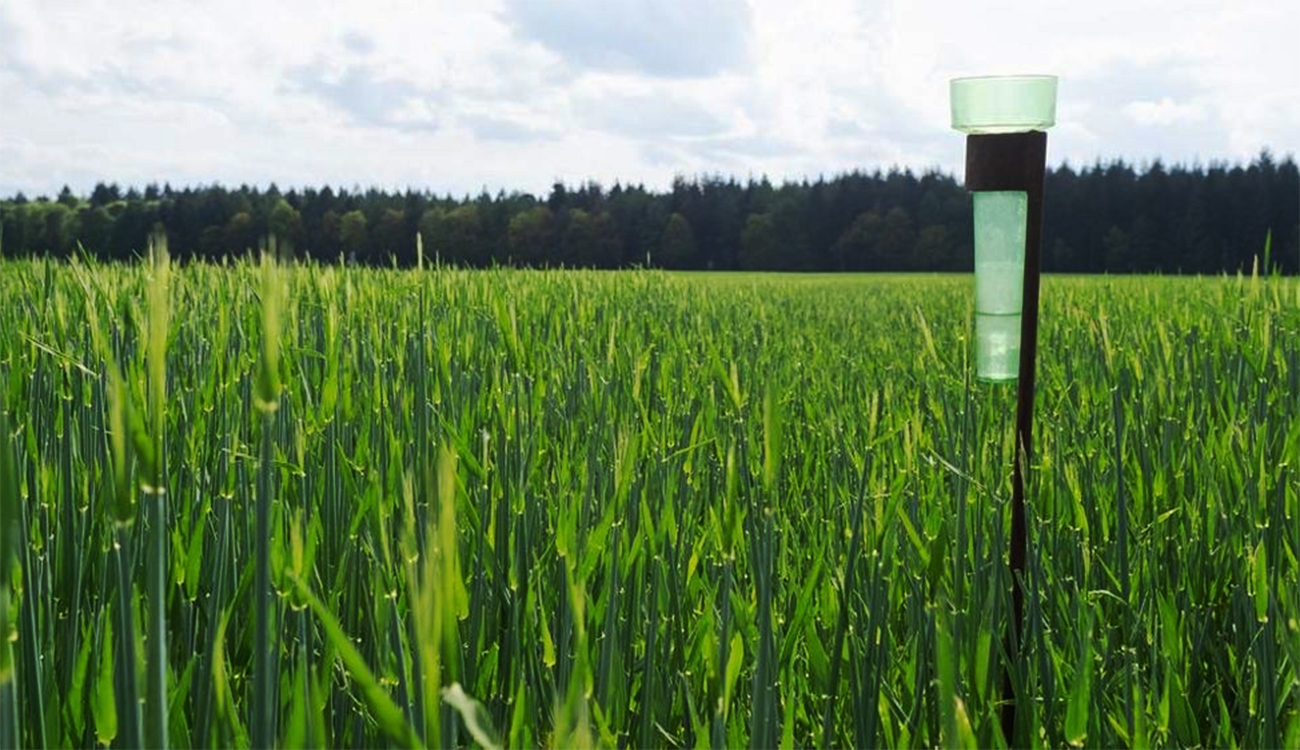 Tunisie : la pluviométrie depuis septembre atteint 55 % de...