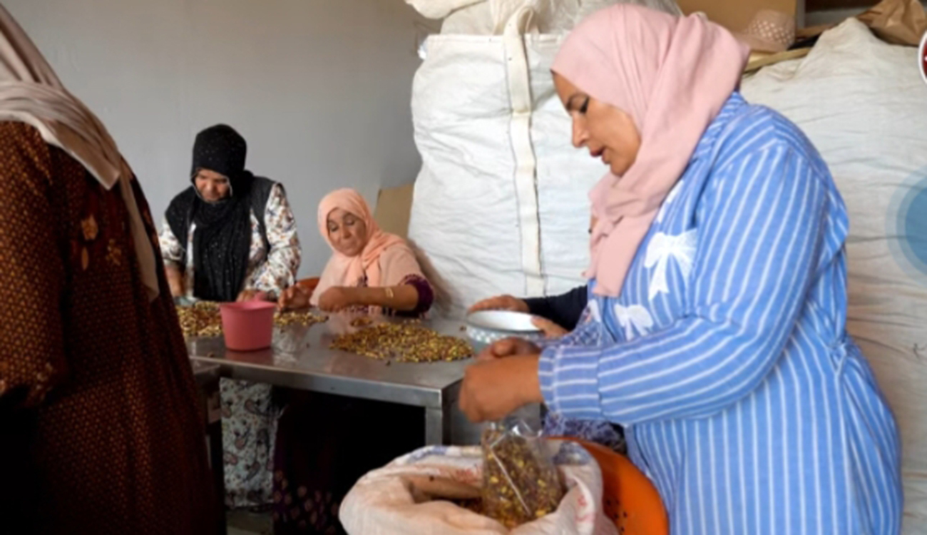 Sened : Quand les femmes bâtissent l’avenir de l’agriculture biologique