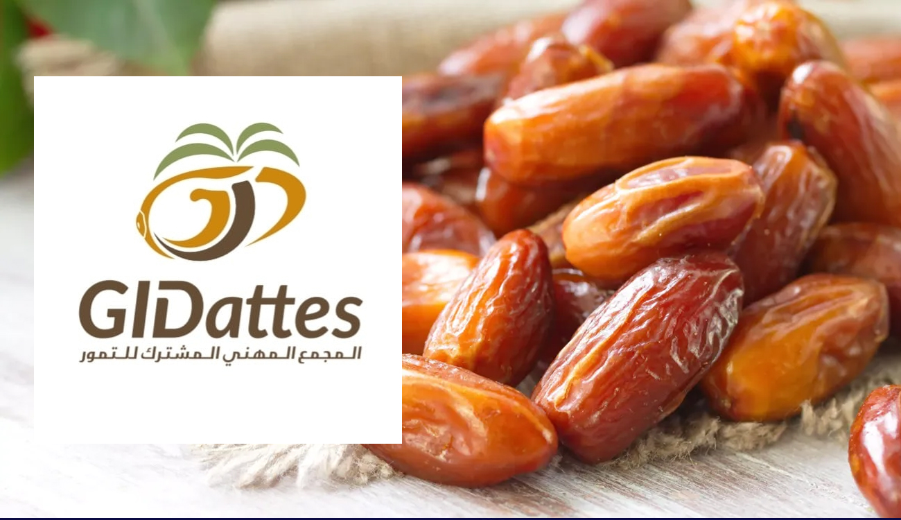 Kébili : Une initiative du groupement professionnel pour améliorer la...