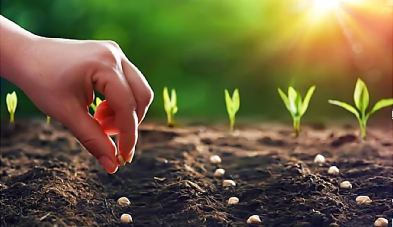 Billet – Bureaucratie étouffante : L’appel urgent du Président pour...