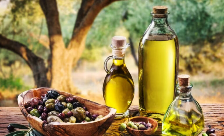 Filière oléicole : Le duo État-privé à la rescousse