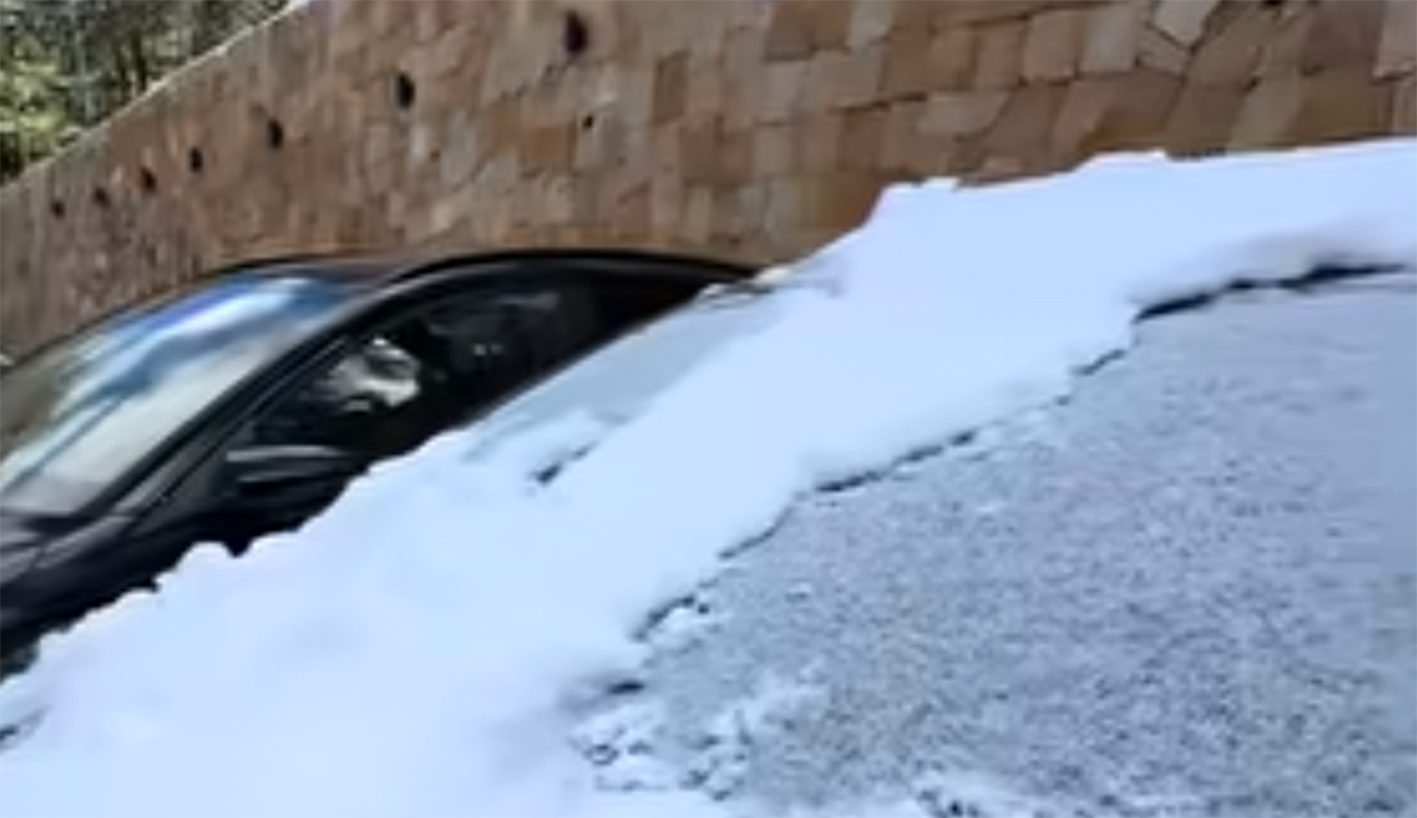 Algérie : 14 personnes secourues après avoir été piégées dans...