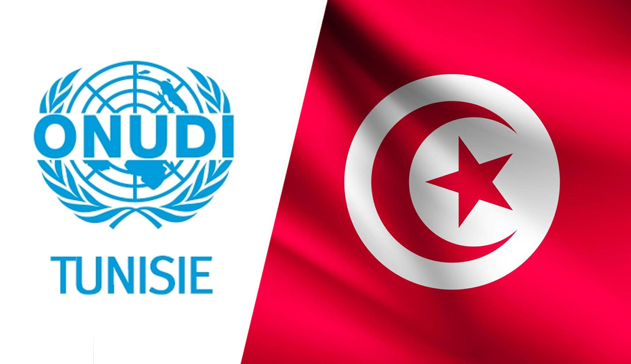 Tunisie – ONUDI : Innovation, emploi et infrastructures, en marche...