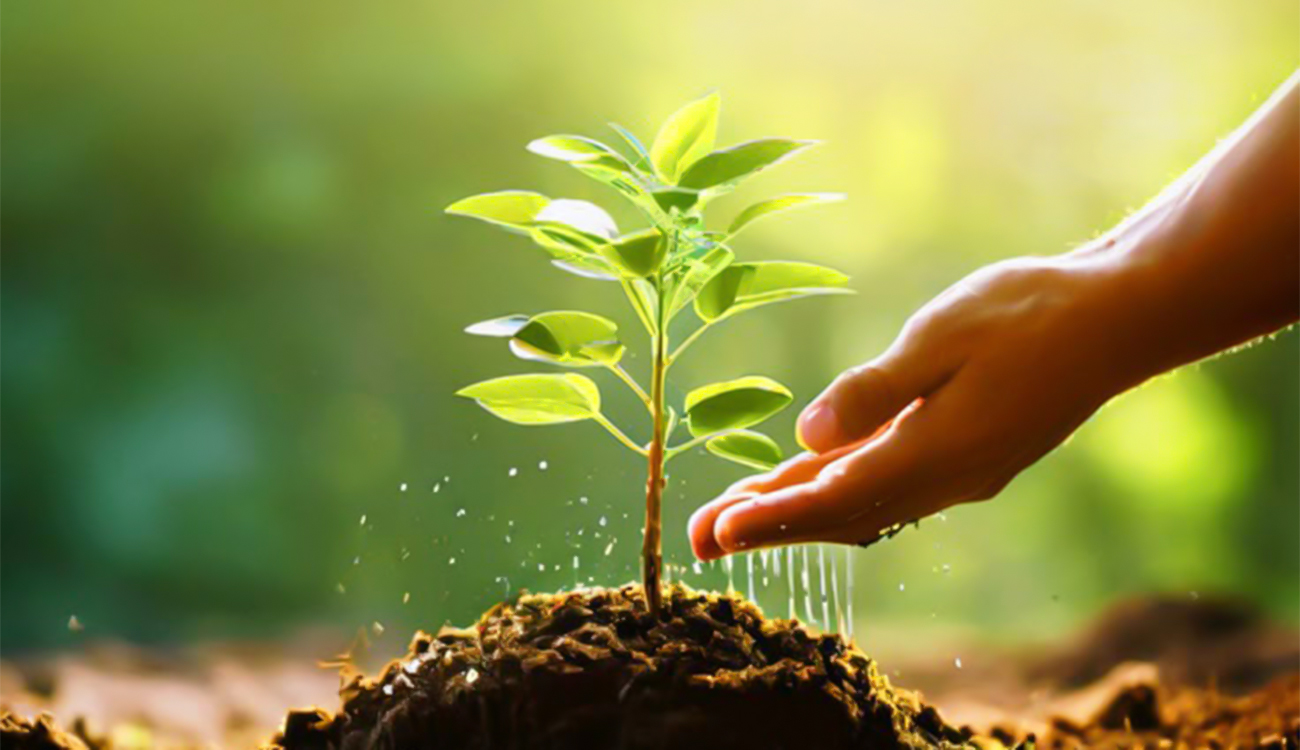 Tunisie : 8 millions d’arbres plantés pour la Fête nationale...