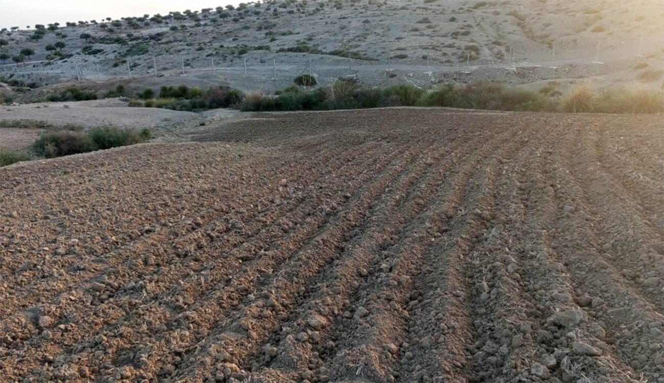 Terres agricoles : faciliter l’aménagement foncier et l’accès au financement