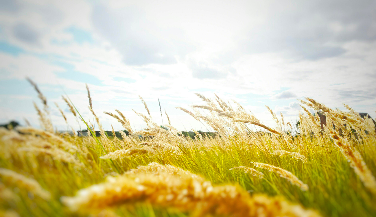Météo : Légère hausse des températures