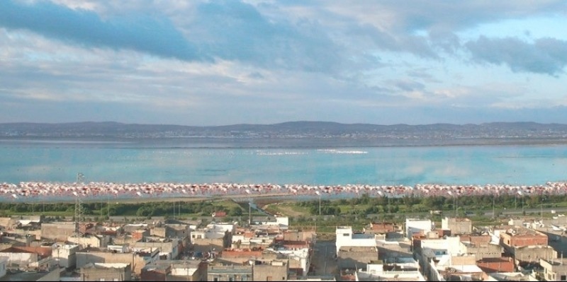 Sidi Hassine : le 22 décembre, lancement des travaux de...