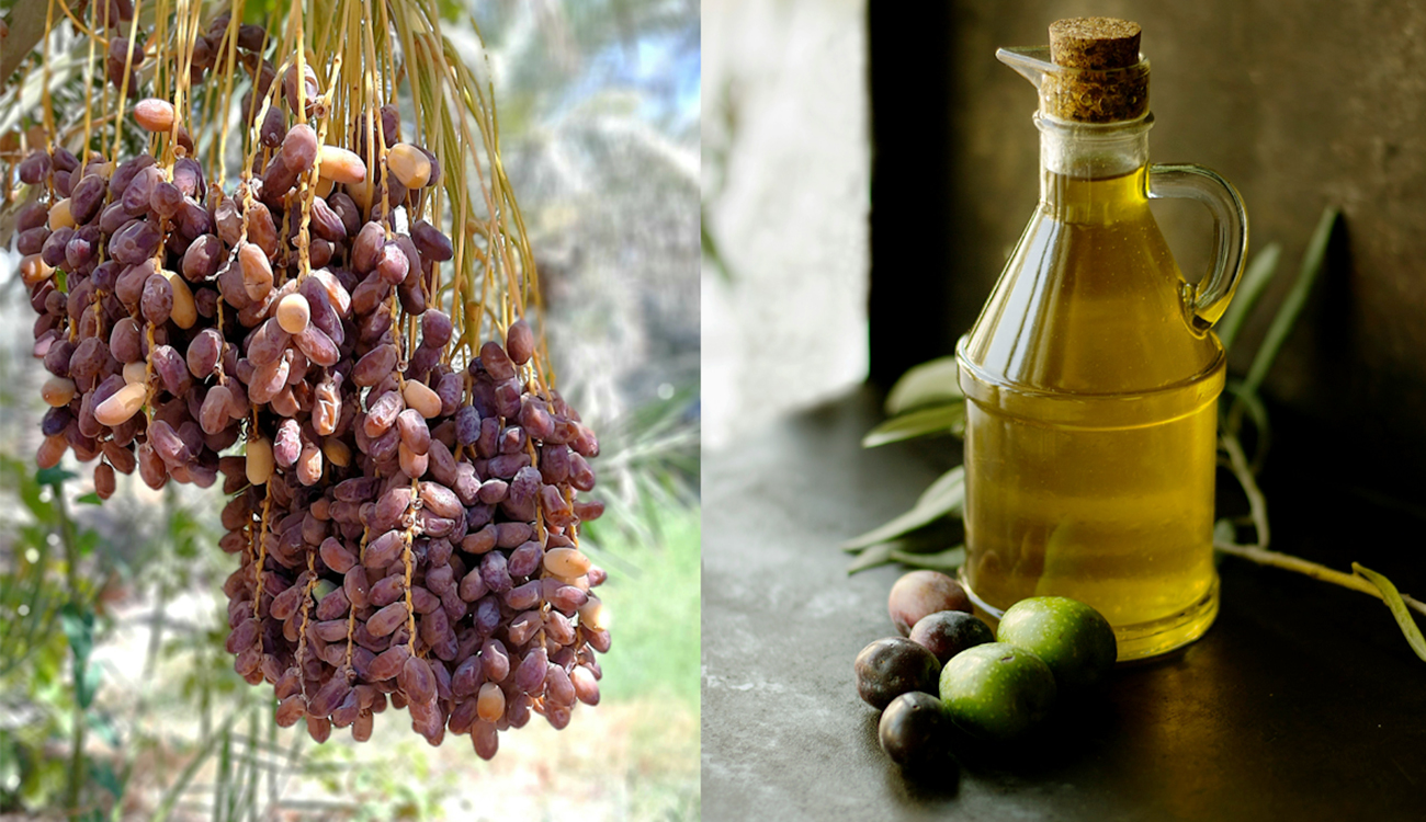 Dattes et huile d’olive : Prospective et anticipation, c’est ce...