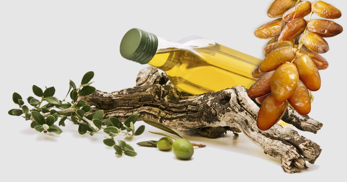 Dattes et huile d’olive : Prospective et anticipation, c’est ce...