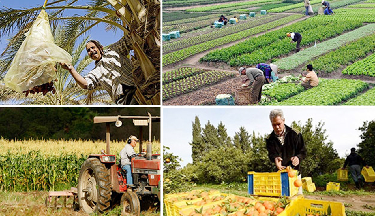 Rétrospective – Le secteur agricole en 2025 : De la...