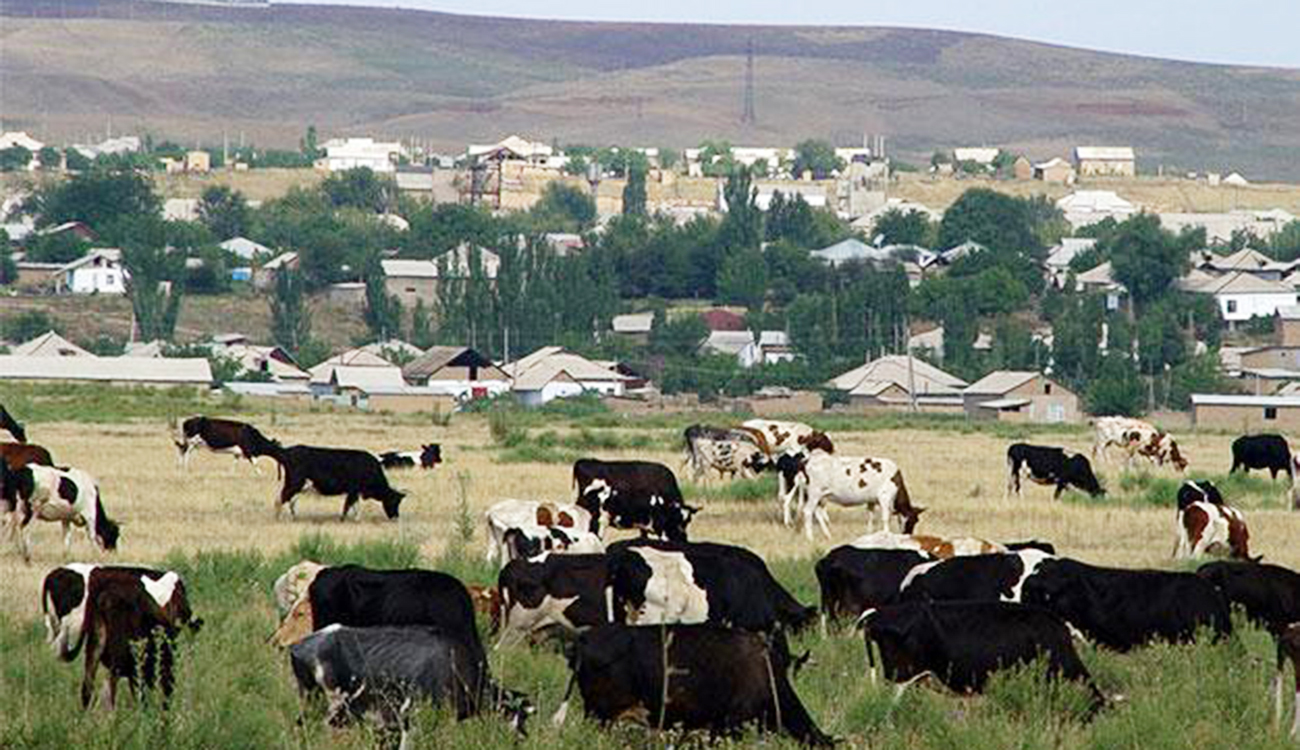 Entre autres défis majeurs… : Moderniser pour durer