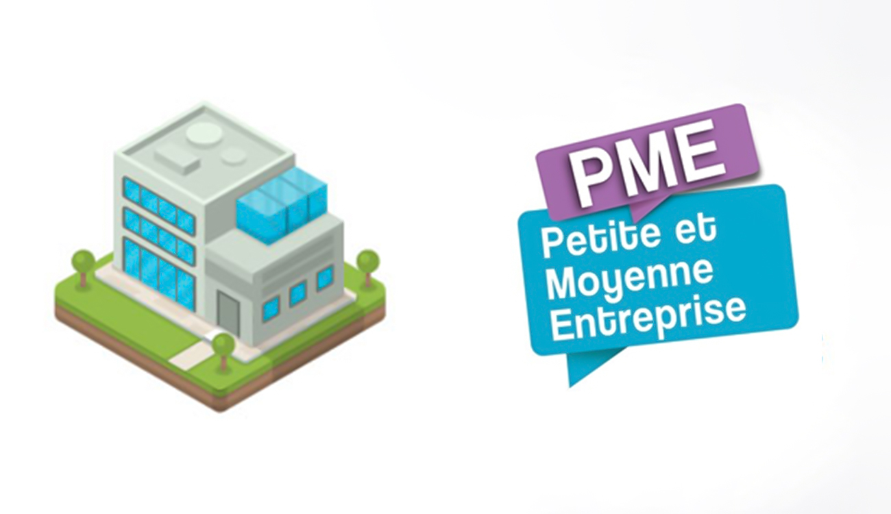 Le secteur informel : une concurrence déloyale qui mine les...