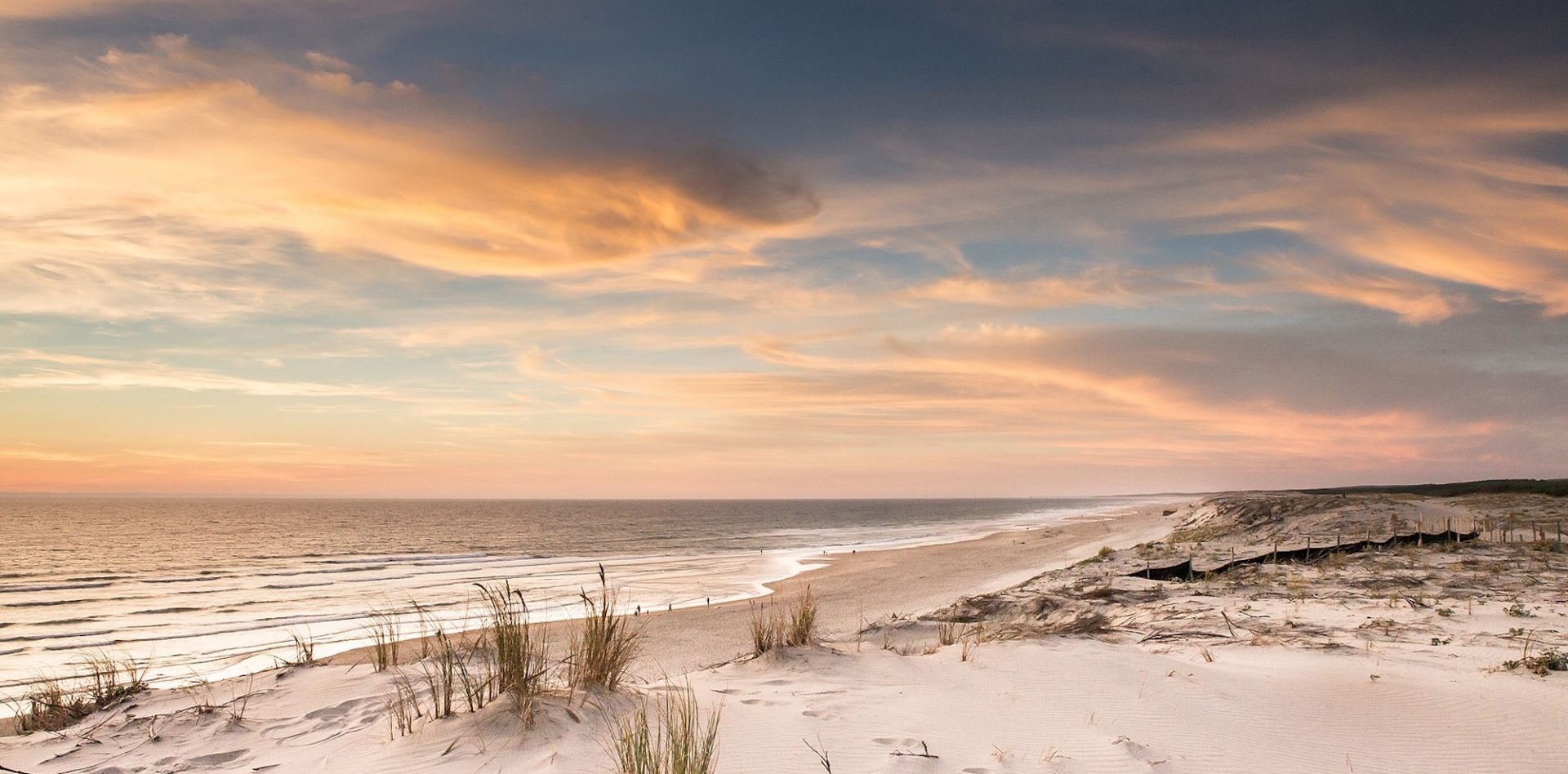 TunSea alerte contre le labourage des plages et ses ravages...