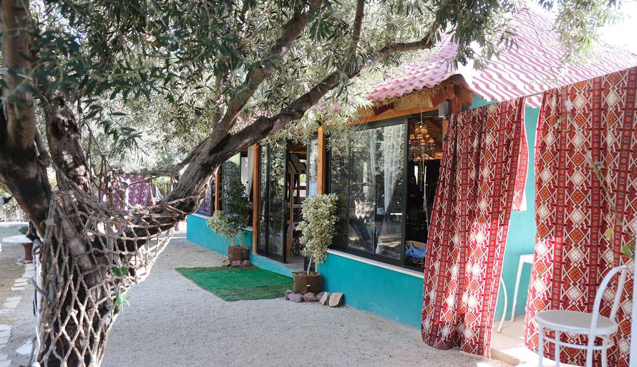 «Oueslati Zit Tour», un circuit de promotion agrotouristique Kairouan :...