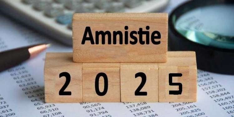 L&rsquo;enjeu de l&rsquo;amnistie fiscale immobilière pour les contribuables et les...