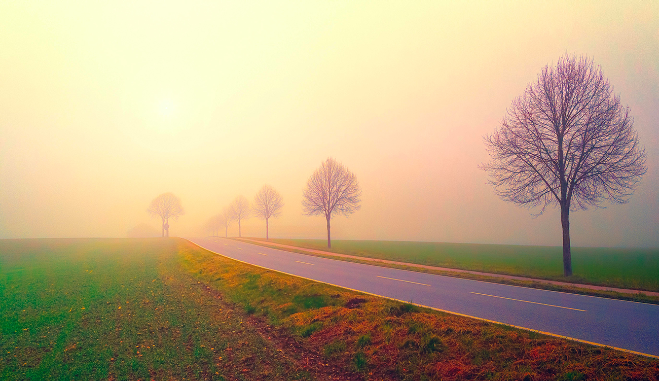 Brouillard intense et risques de pluie sur l’Est