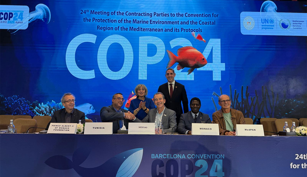 Un financement international pour préserver un joyau marin à Djerba