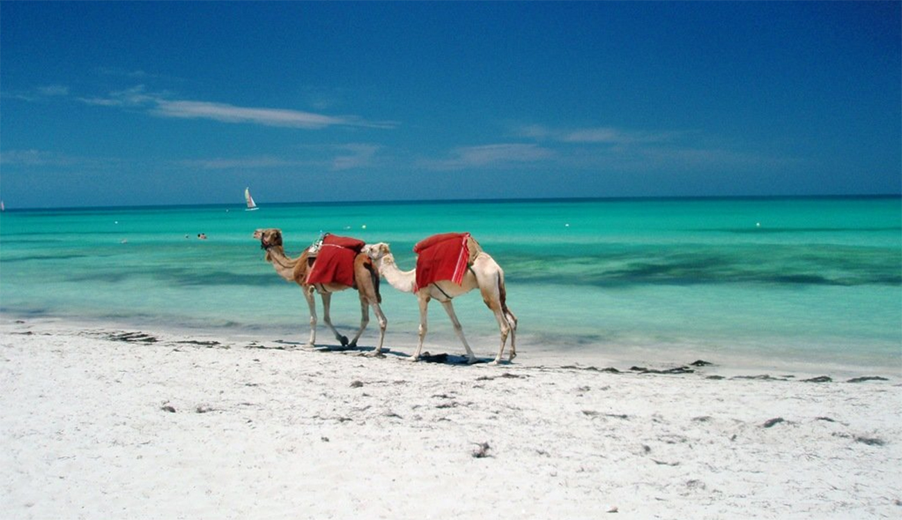 Airbnb classe Djerba Midoun parmi les destinations les plus prisées...