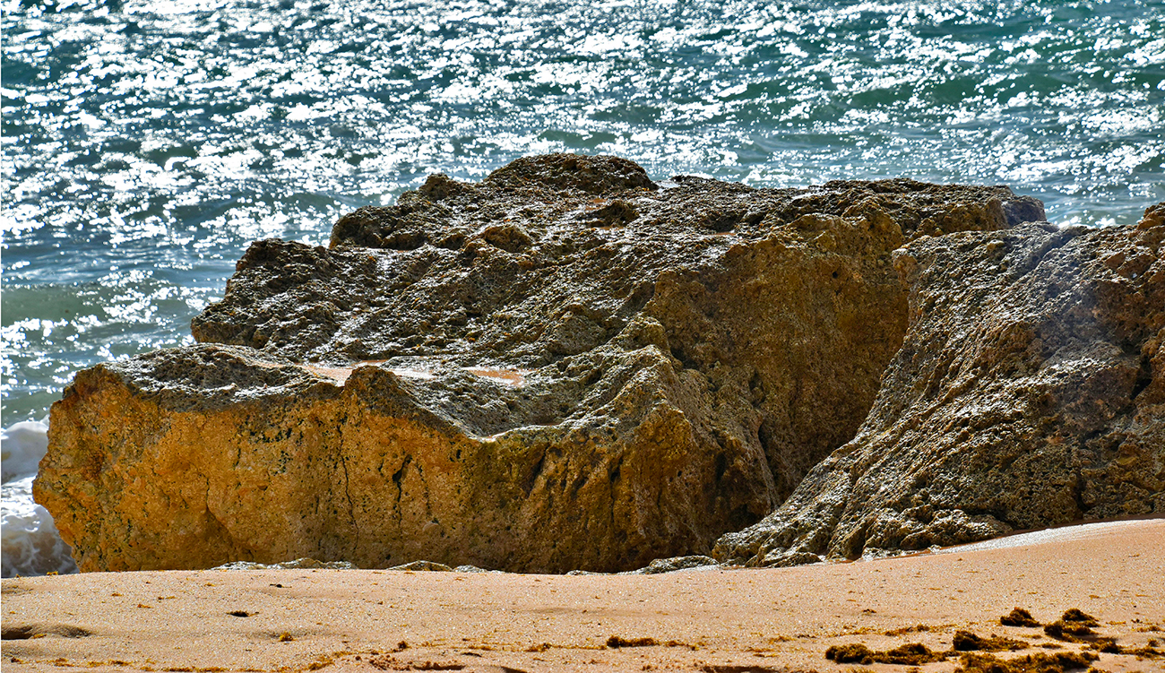 L’érosion menace 43% des plages de sable en Tunisie