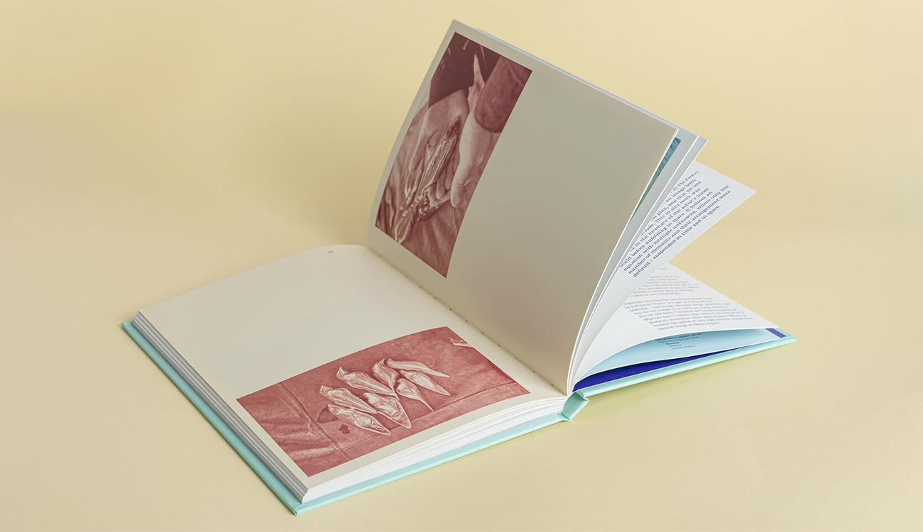 « Tenté par d’autres soleils », ouvrage issu de l’exposition...