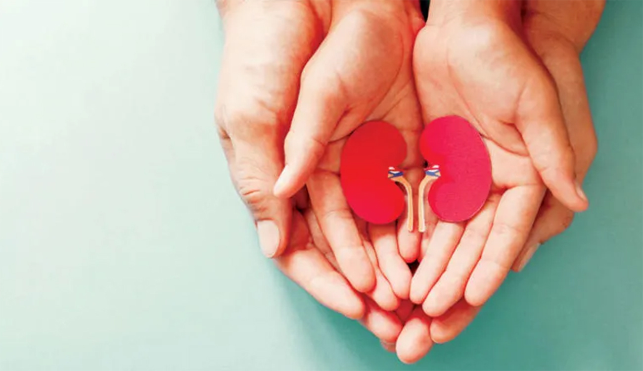 Plus de 1 500 patients en attente d’une greffe de...