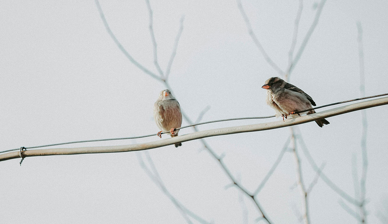 Météo : aujourd&rsquo;hui, légère hausse des températures