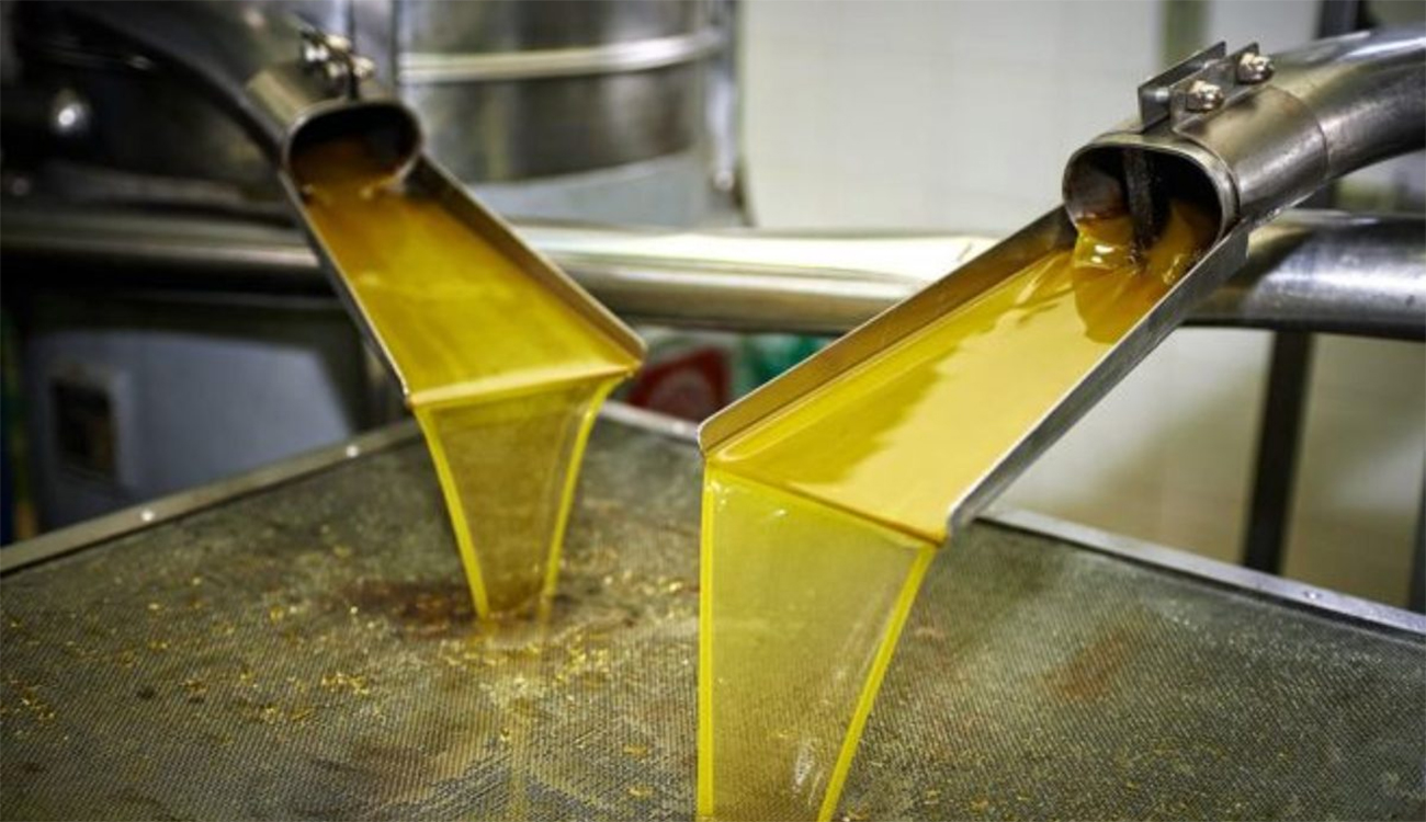 Nabeul : pression sur les huileries pousse les agriculteurs à...