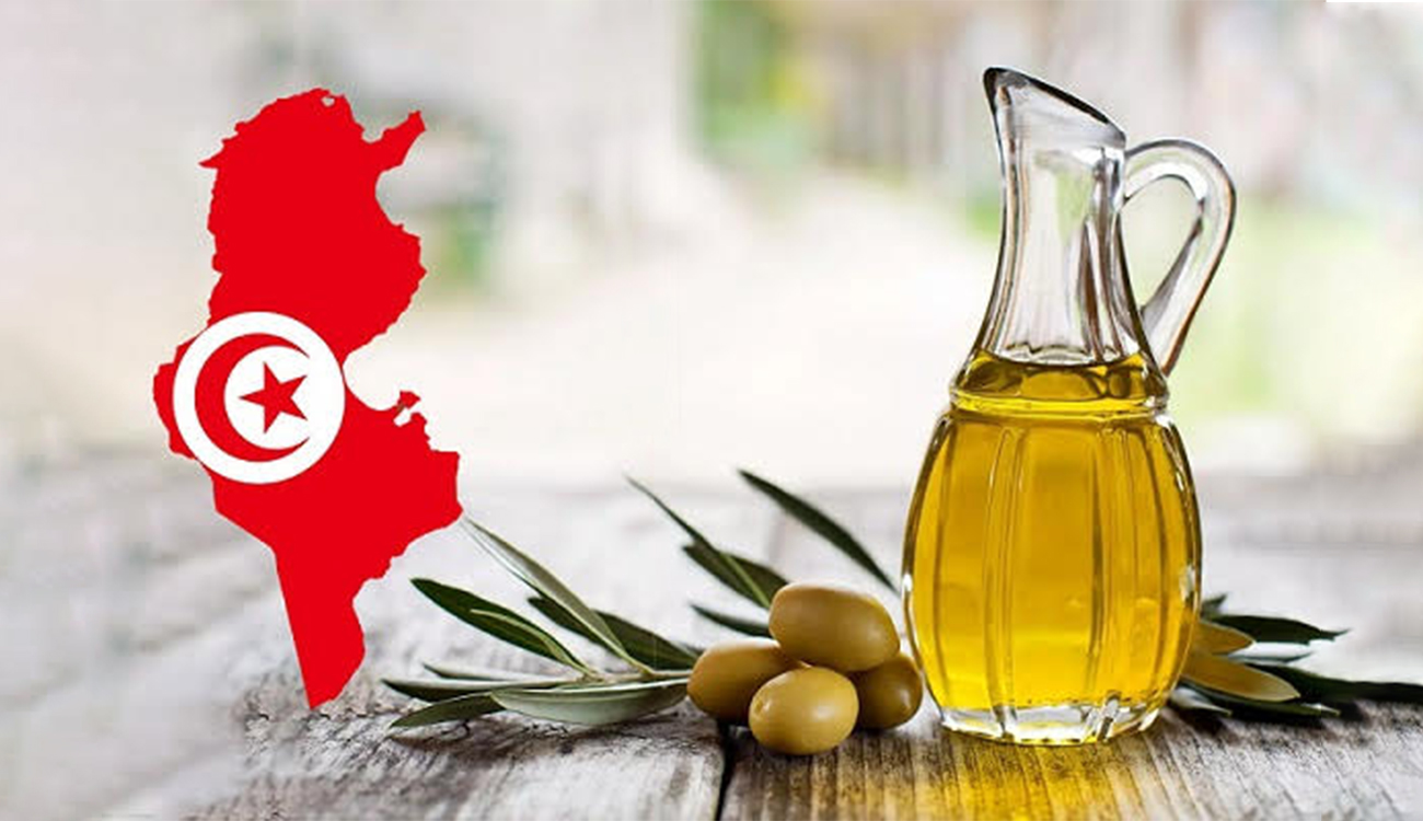 Secteur oléicole – Performances en hausse et fragilités persistantes :...