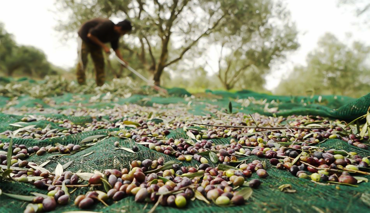 Billet – Agriculture : Les mains s’éloignent, la terre attend !